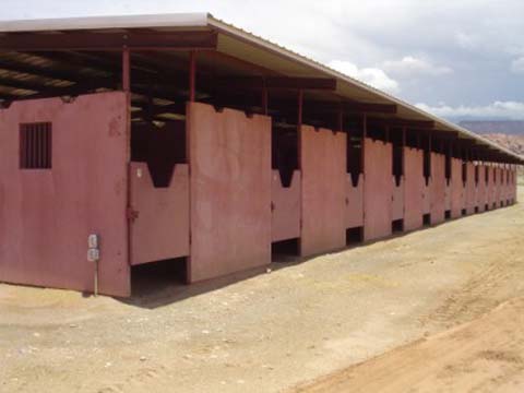 Horse Stables